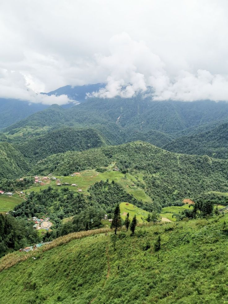 photo6249111505568114817