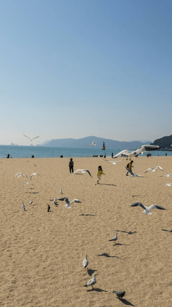 Train to Busan |&nbsp;Busan